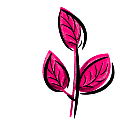 Rosa Ojas Sticker