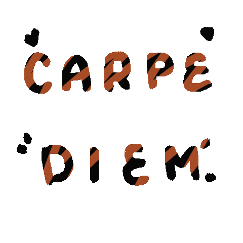 Carpediem Sticker