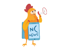 News Chicken Sticker by namecheap