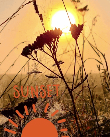 Susanne´s EnergieWerkstatt GIF