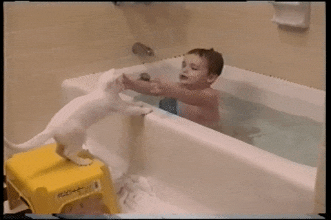 Cat Baby Gif By Afv Pets Find Share, Cat In A Bathtub Gif