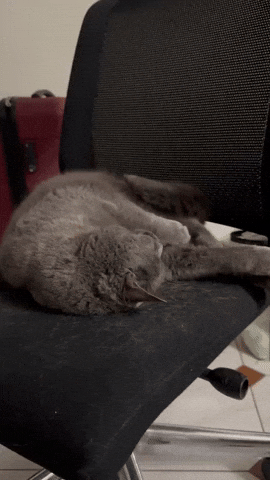 Luna Bazooka GIF