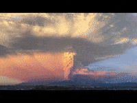 Rise From The Ashes Gifs Get The Best Gif On Giphy Rise From The Ashes Gifs Get The Best Gif On Giphy