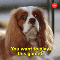 Dogs International Dog Day GIF by BuzzFeed