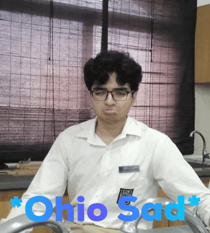 Ohio Sad GIF