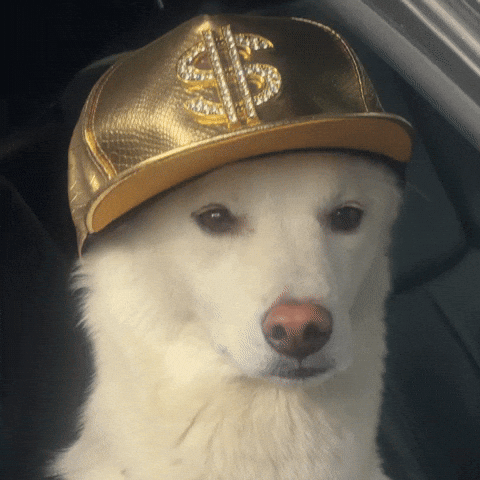 Dawg GIF