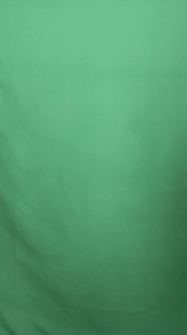 Asfleurance Rugby GIF