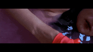 Cat GIF