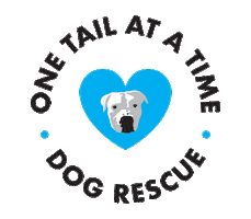 One Tail at a Time Sticker