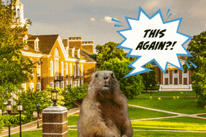 Groundhog Day Rodent GIF by TheFIREorg