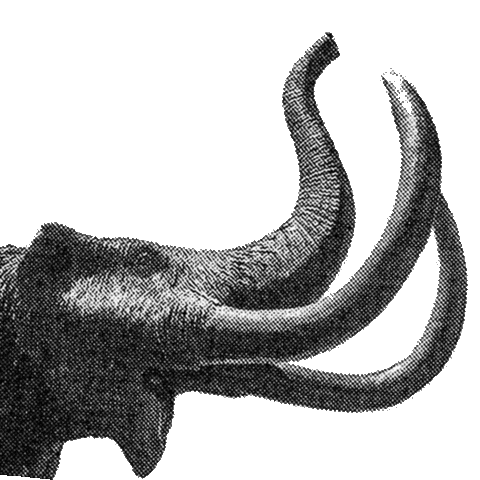 Purdue University Fort Wayne Sticker