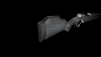 Rifle GIF