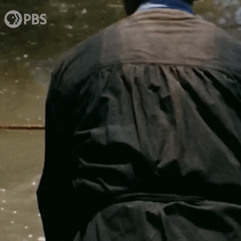 GIF by PBS Digital Studios