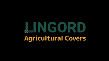 Lingord GIF