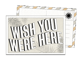 Well Traveled Sticker