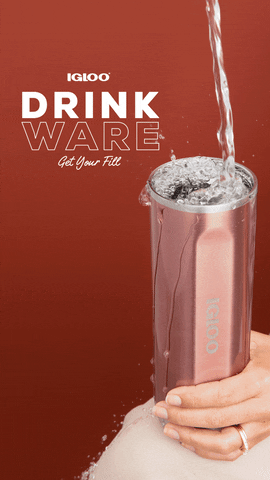 Water Cheers GIF by Igloo Products Corp.