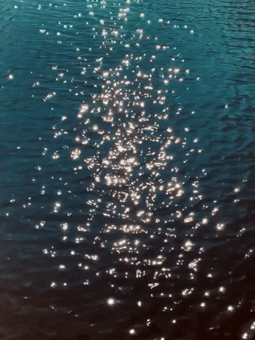 Art Reflect GIF by Luc Schraauwers