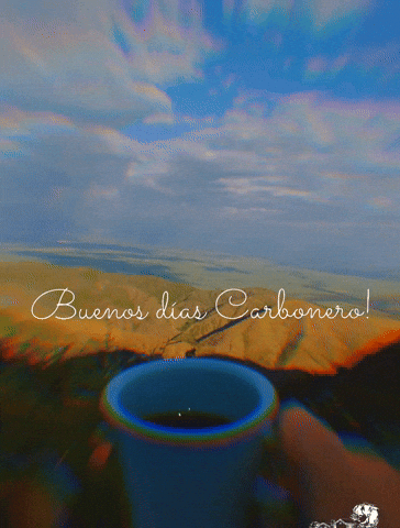 Villasofia Carboneros GIF