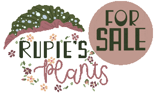 Plants Sticker