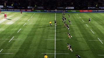 Rugby Try GIF by Glasgow Warriors