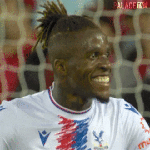 Premier League Smile GIF by CPFC