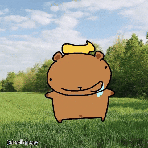 Spin Capybara GIF