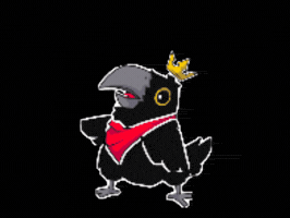 WebediaStudios GIF