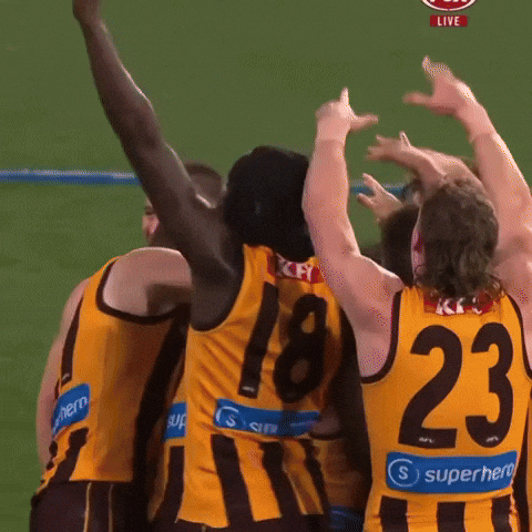 Hawthorn Hawks Afl GIF