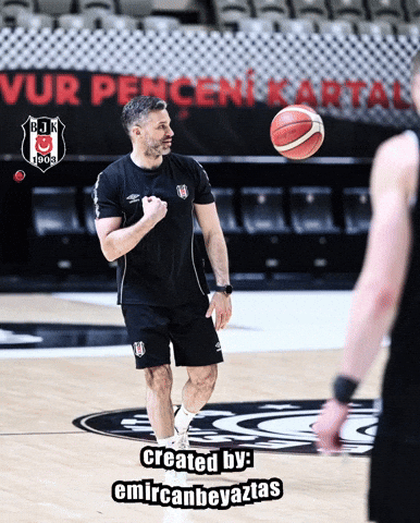 Beşiktaş GIF