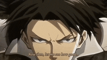 Attack On Titan GIF