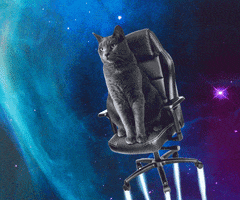 Space Cat GIF by onmobia GmbH