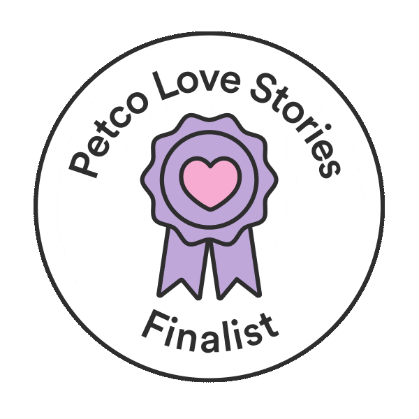 Story Adopt Sticker by Petco Love