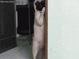200_s.gif