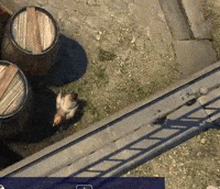 Barrel-roll GIFs - Get the best GIF on GIPHY