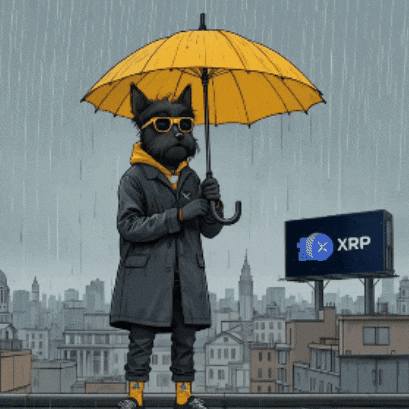 Rainy Day Rain GIF by Terry Toto