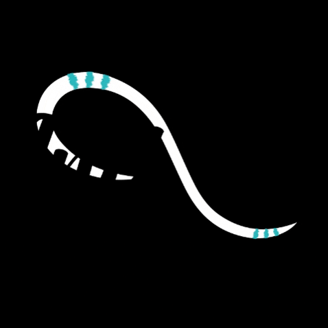 teaminfinityma GIF