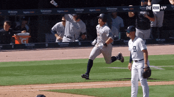 Lets Go GIF by YES Network