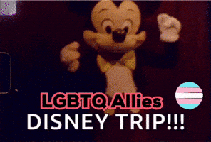 Lgbtq Allies GIF