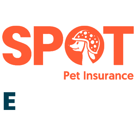 Getspotcovered Sticker by SPOT Pet Insurance