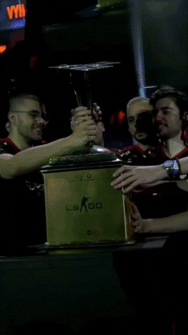 Celebration Victory GIF by SINNERS Esports