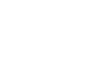 Rosaliesvision Sticker