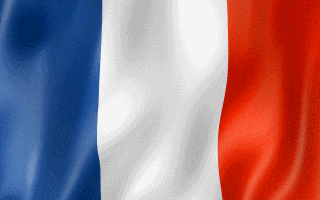 Image result for picture of french flag