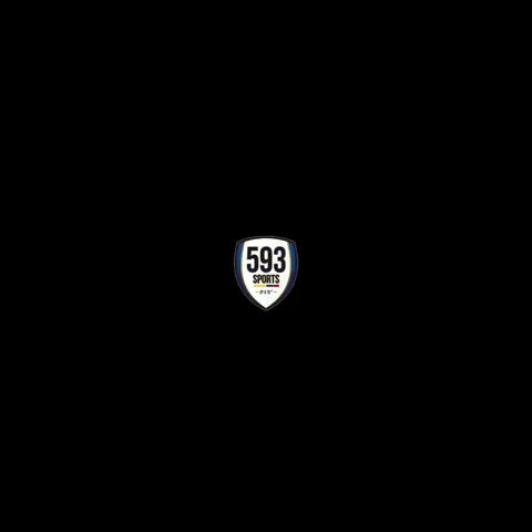593 Sports GIF