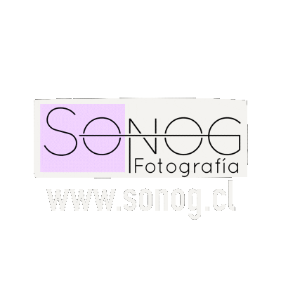 Sonog.cl Sticker