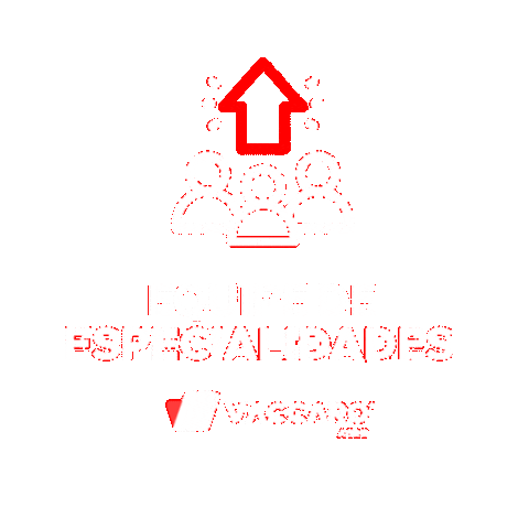 Sticker by Vaccaro