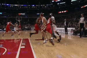 sports nba michael jordan chicago bulls brian scalabrine