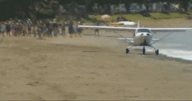 Plane Crash GIF by Daily Mail Online