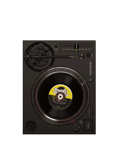 Vinyl Records Sticker by ReloopDJ