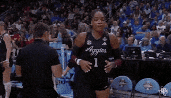 Texas Am Volleyball GIF by Texas A&M Athletics