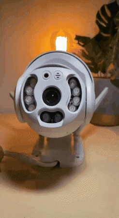 GIF animado